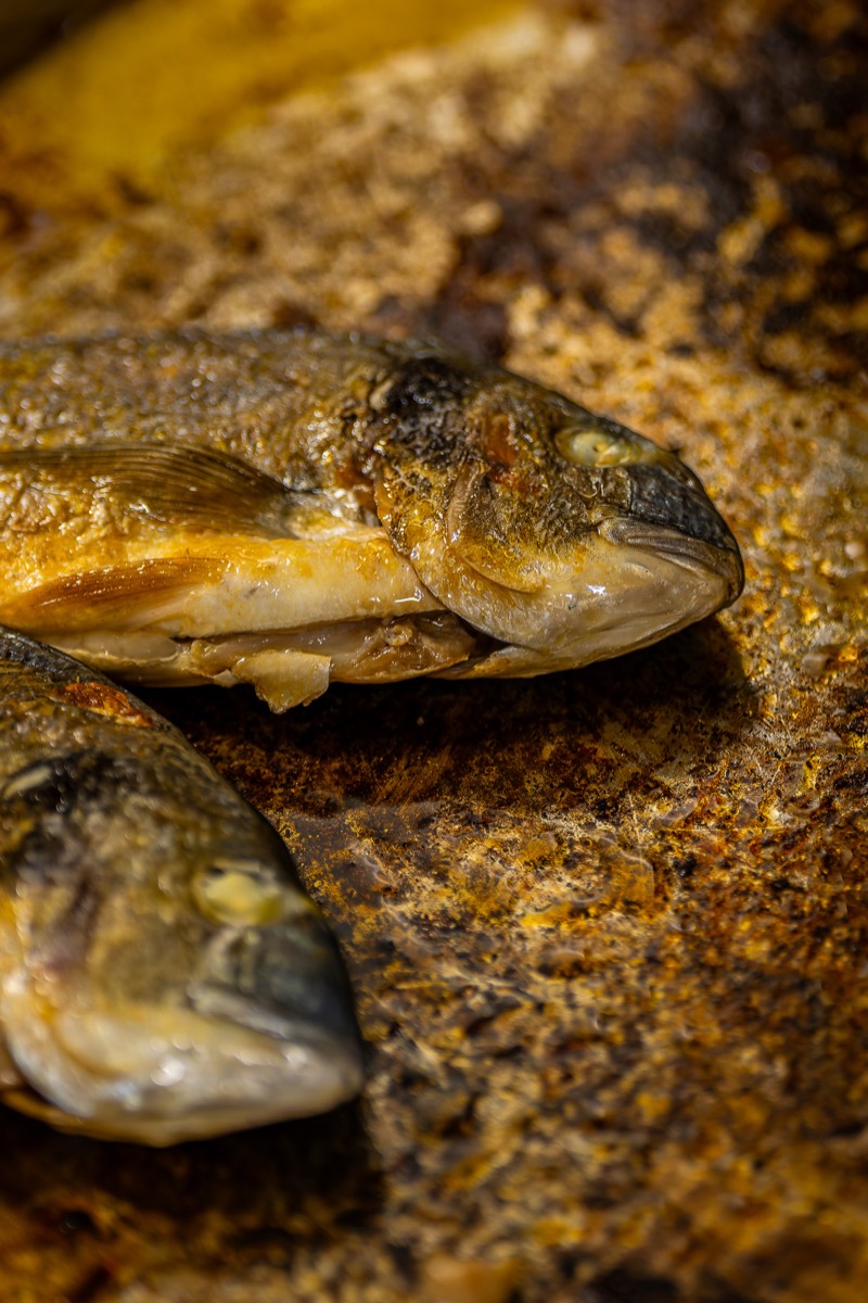 Daurade dorée à la plancha, cuisine méditerranéenne